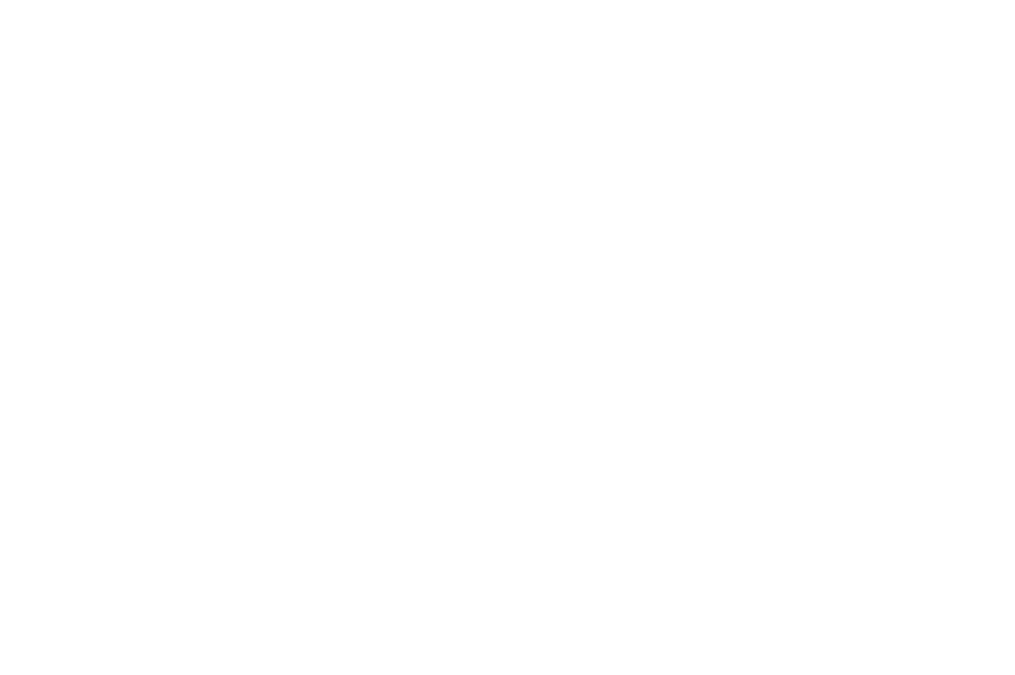 Price label showing $500 in bold white text on a green background, highlighting a purchase price.