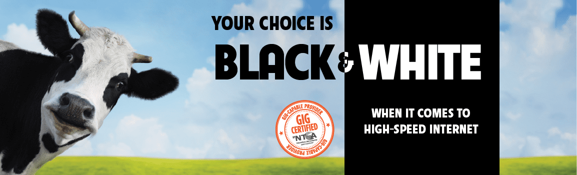 You Choice is Black & White when it comes to high-speed internet.