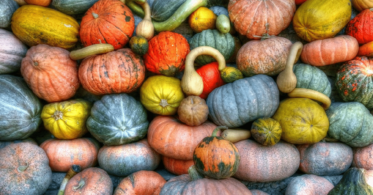 Several colorful gourds