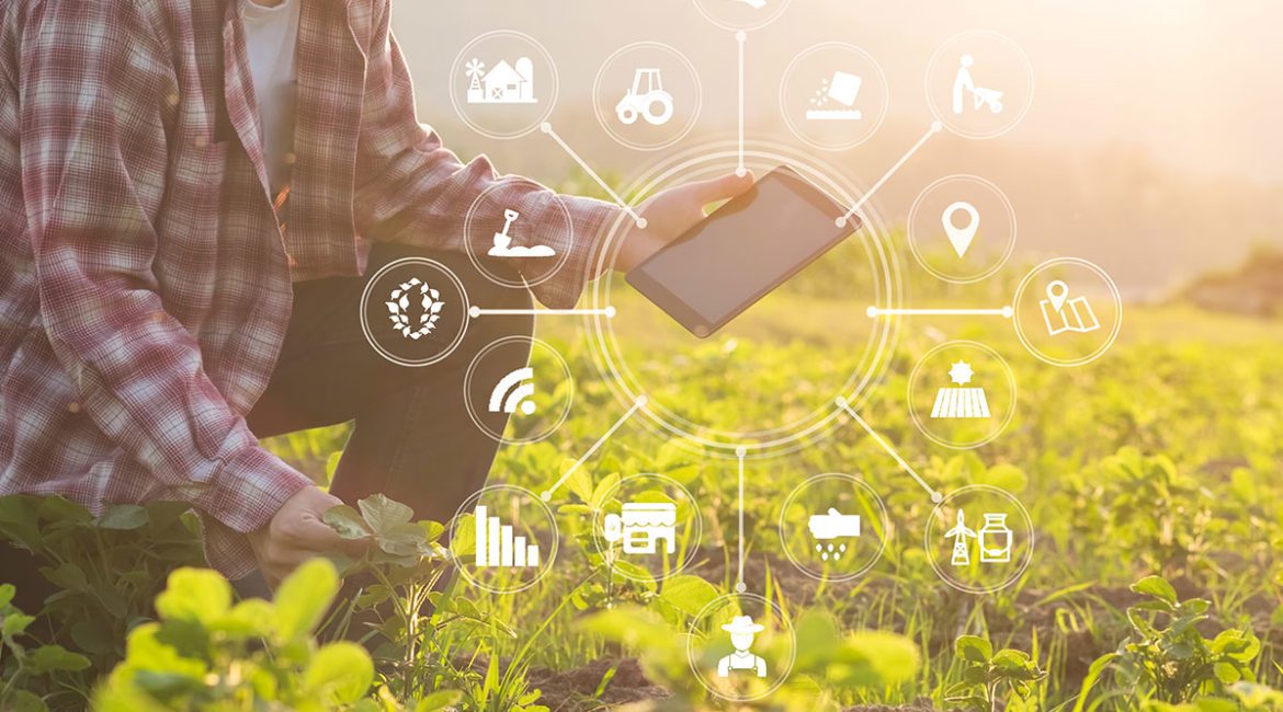 Man in field looking at tablet mobile device.