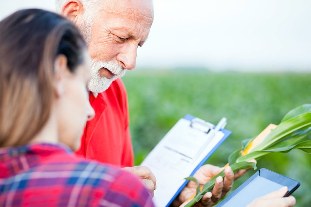 A man and woman looking at a tablet.