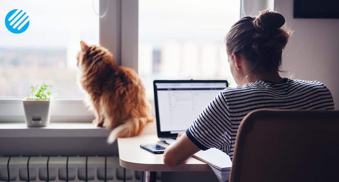 Woman on computer sits at desk and her orange cat sits on windowsill.