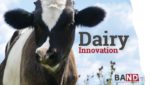 dairy innovation