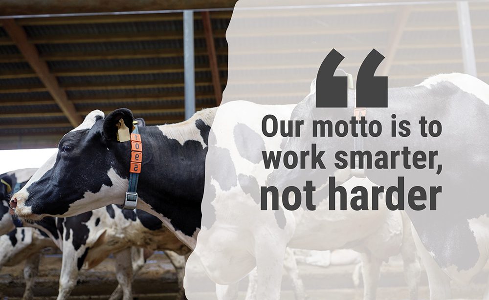 "Our motto is to work smarter, not harder"