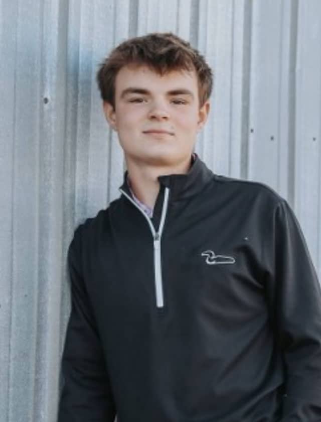Payne Wilkie